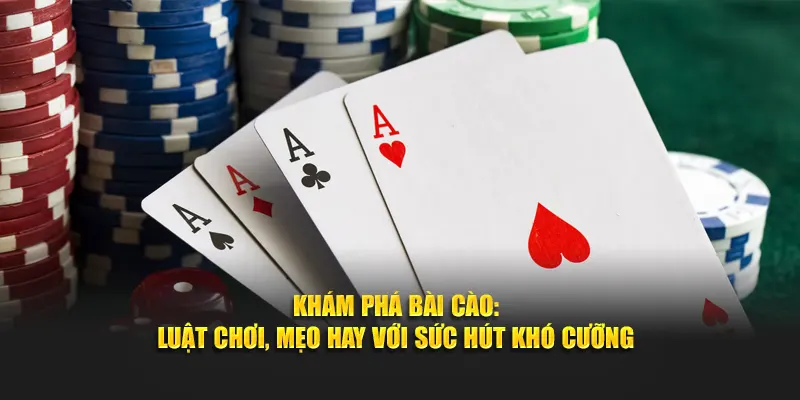 Bài Cào