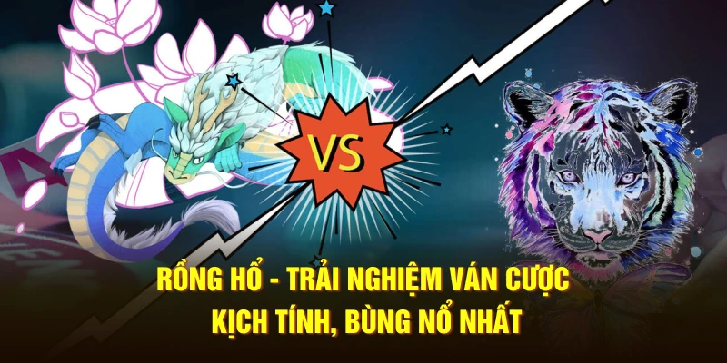 Rồng hổ