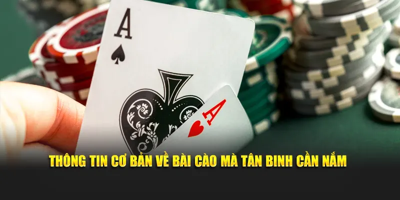 Thông tin cơ bản về bài cào mà tân binh cần nắm